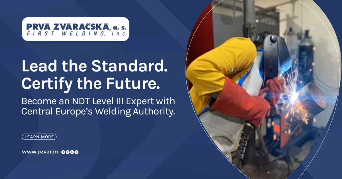 lead the standard certify the future
