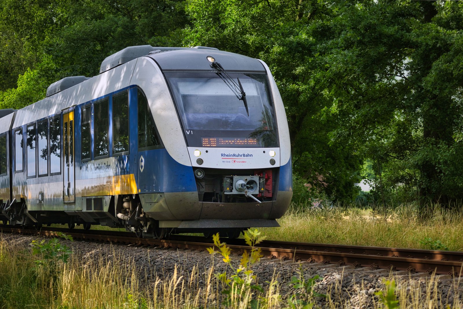 A sleek train travels along a railway surrounded by lush greenery, capturing the essence of modern transportation.